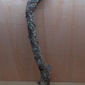 Large Cork Branch - 80-110cm - 2