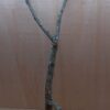 Large Cork Branch - 80-110cm - 4
