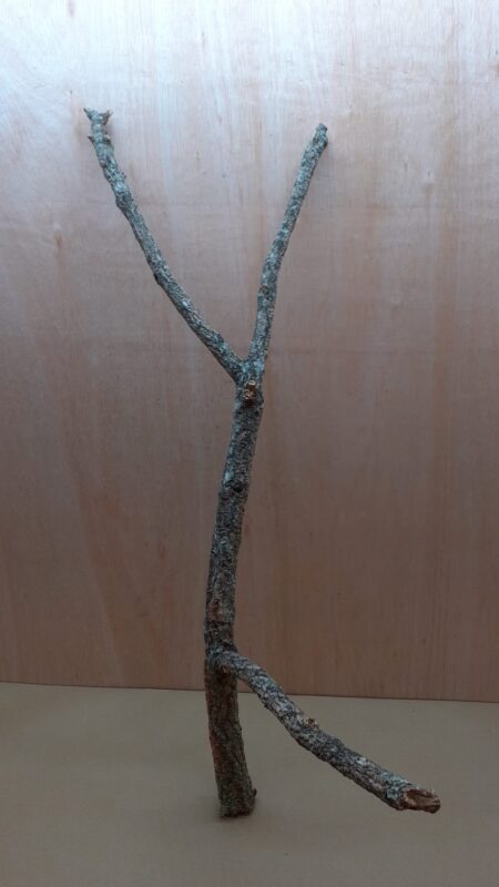 Large Cork Branch - 80-110cm - 4