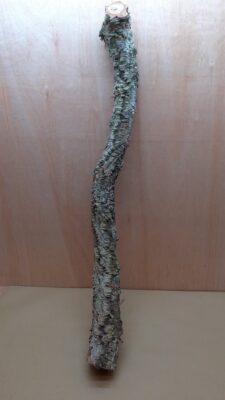 Large Cork Branch - 80-110cm - 7