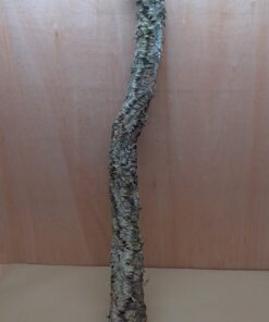 Large Cork Branch - 80-110cm - 7