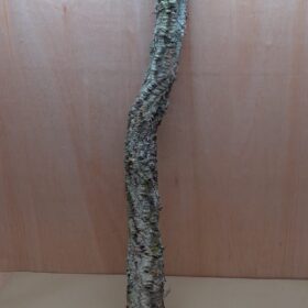 Large Cork Branch - 80-110cm - 7