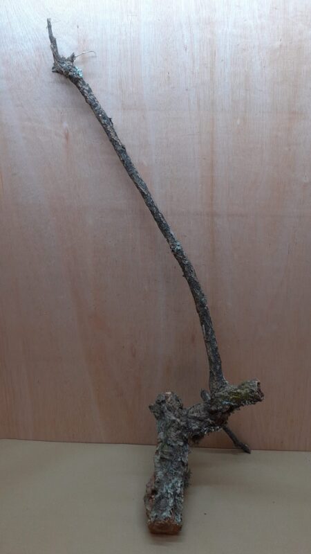 Large Cork Branch - 80-110cm - 8
