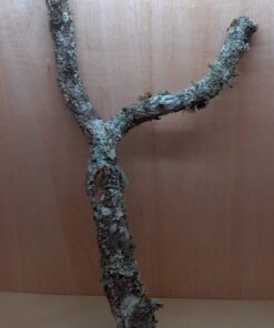 Large Cork Branch - 80-110cm - 14
