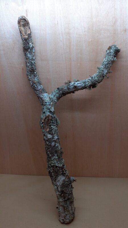 Large Cork Branch - 80-110cm - 14