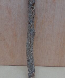 Small Cork Branch - Upto 40cm - 14