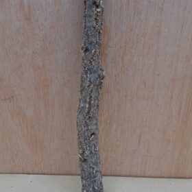 Small Cork Branch - Upto 40cm - 14
