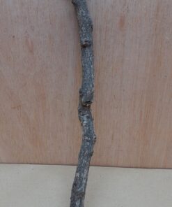 Small Cork Branch - Upto 40cm - 15