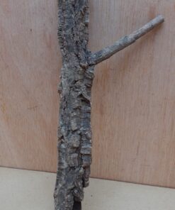 Small Cork Branch - Upto 40cm - 17