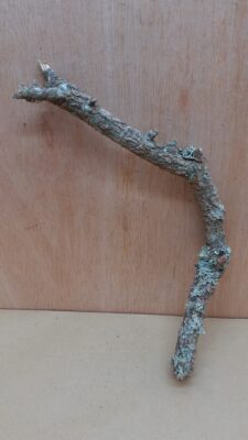 Small Cork Tube - Upto 40cm - 6