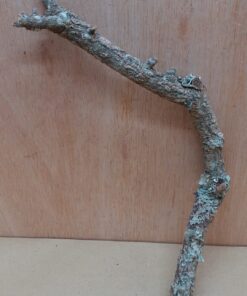 Small Cork Tube - Upto 40cm - 6