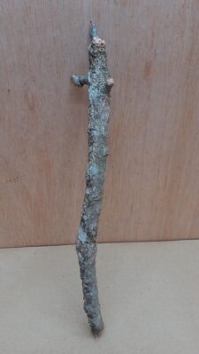 Small Cork Branch - Upto 40cm - 20