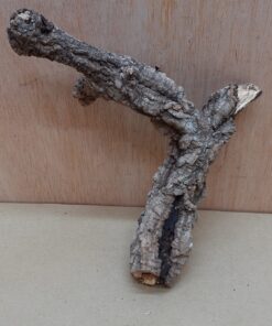 Small Cork Branch - Upto 40cm - 21