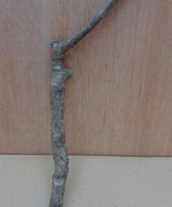 Small Cork Branch - Upto 40cm - 23