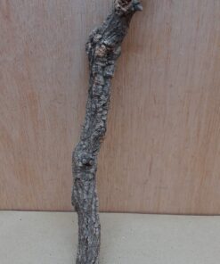 Small Cork Branch - Upto 40cm - 26