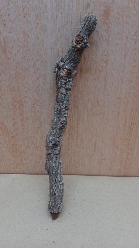 Small Cork Branch - Upto 40cm - 26