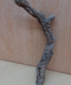 Small Cork Branch - Upto 40cm - 27