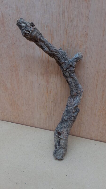 Small Cork Branch - Upto 40cm - 27
