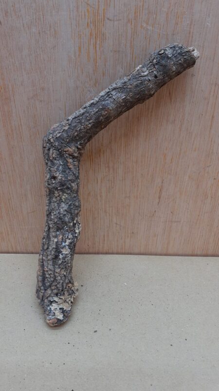 Small Cork Branch - Upto 40cm - 29