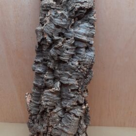 Large Cork Flat 2