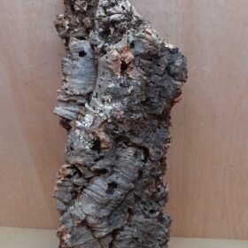 Large Cork Flat 9
