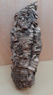 Large Cork Flat 11