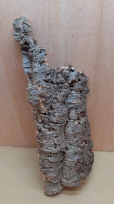 Large Cork Flat 13