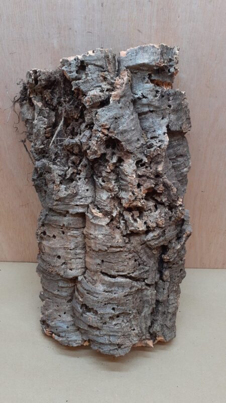 Large Cork Flat 14