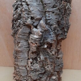 Large Cork Flat 15