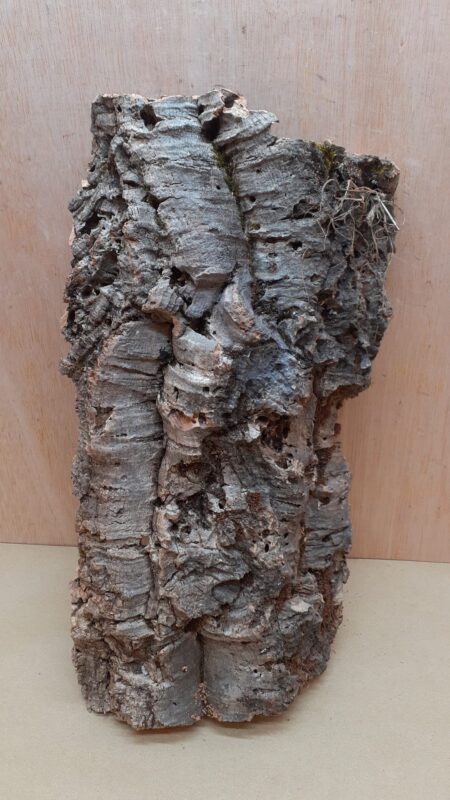 Large Cork Flat 15