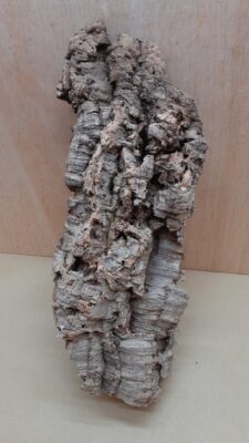 Large Cork Flat 17