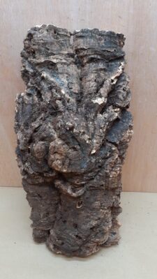 Large Cork Flat 21