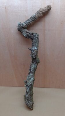 Large Cork Branch - 80-110cm - 17