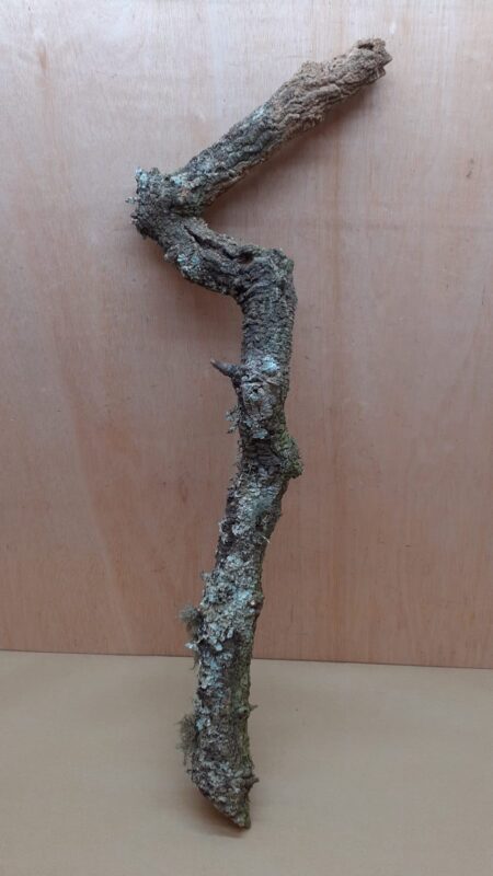 Large Cork Branch - 80-110cm - 17