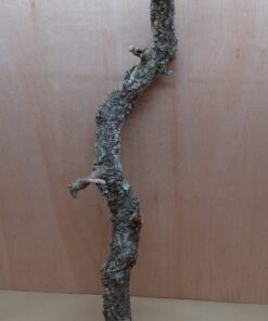 Large Cork Branch - 80-110cm - 19