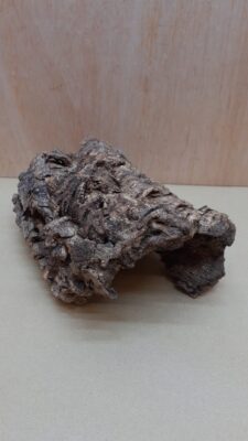 Medium Cork Hide 9