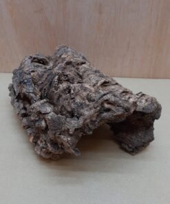 Medium Cork Hide 9