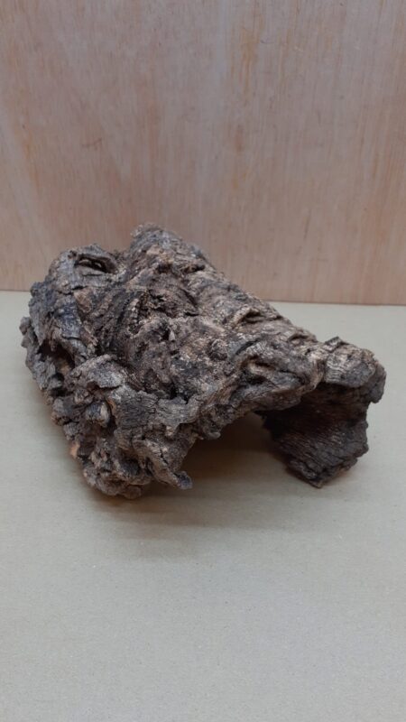 Medium Cork Hide 9