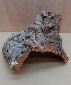 Medium Cork Hide 10
