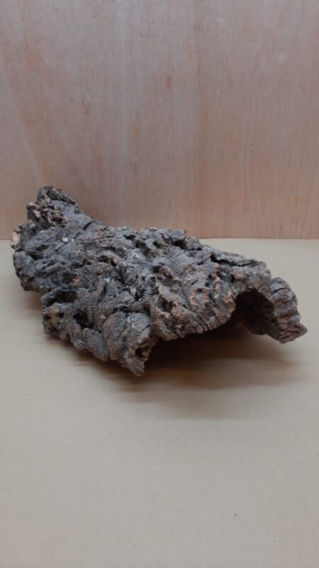 Medium Cork Hide 16