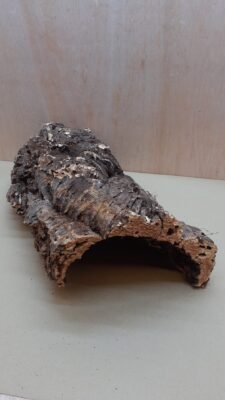 Medium Cork Hide 17