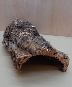 Medium Cork Hide 17