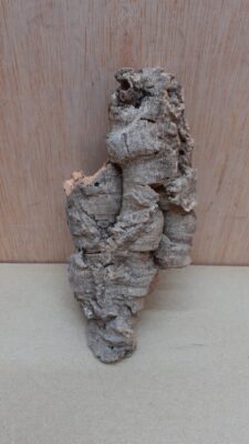 Small Cork Flat 1