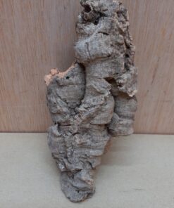 Small Cork Flat 1