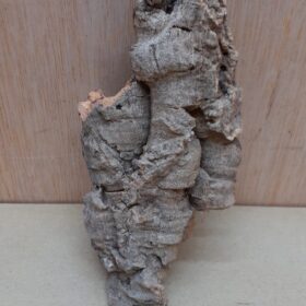 Small Cork Flat 1