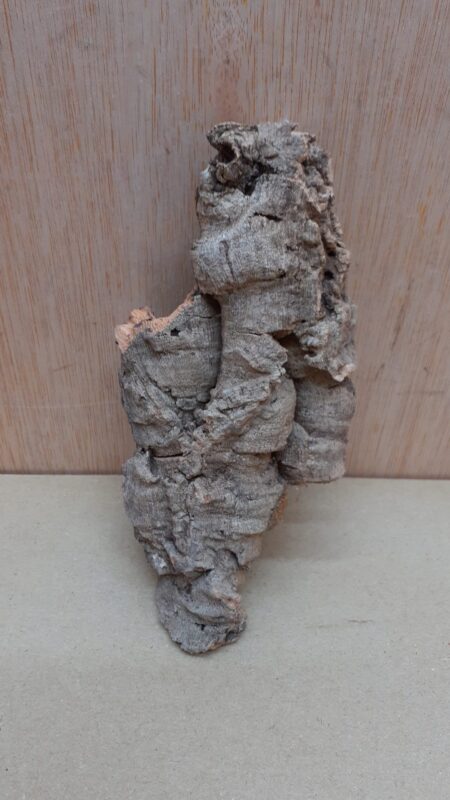 Small Cork Flat 1