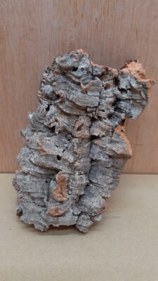 Small Cork Flat 5