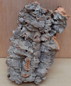 Small Cork Flat 5