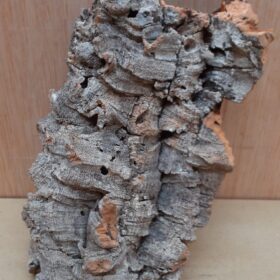 Small Cork Flat 5