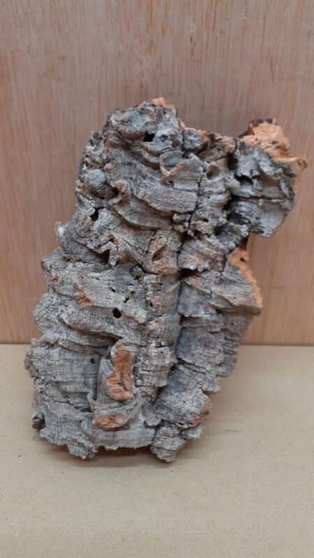 Small Cork Flat 5